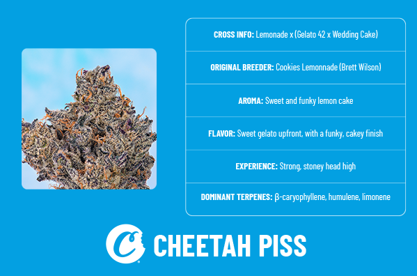 Cookies Premium Indoor | Cheetah Piss | 3.5g (Sativa)