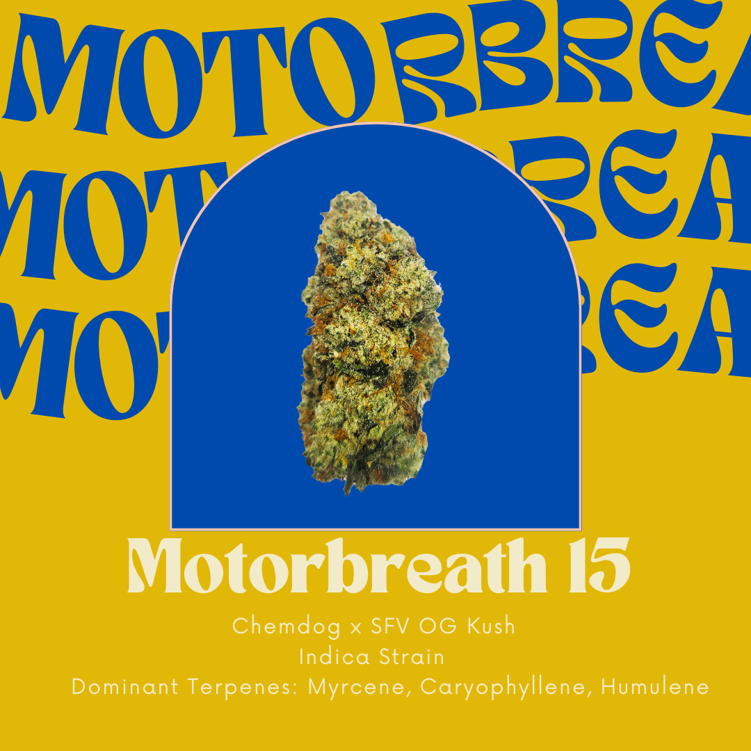 Motorbreath 15 | Shake Oz | The Hive