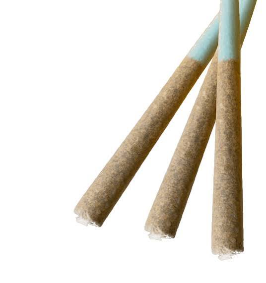Bliss Acapulco Gold Pre-Roll 1g 28G