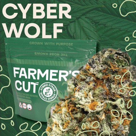 Cyber Wolf | 3.5g