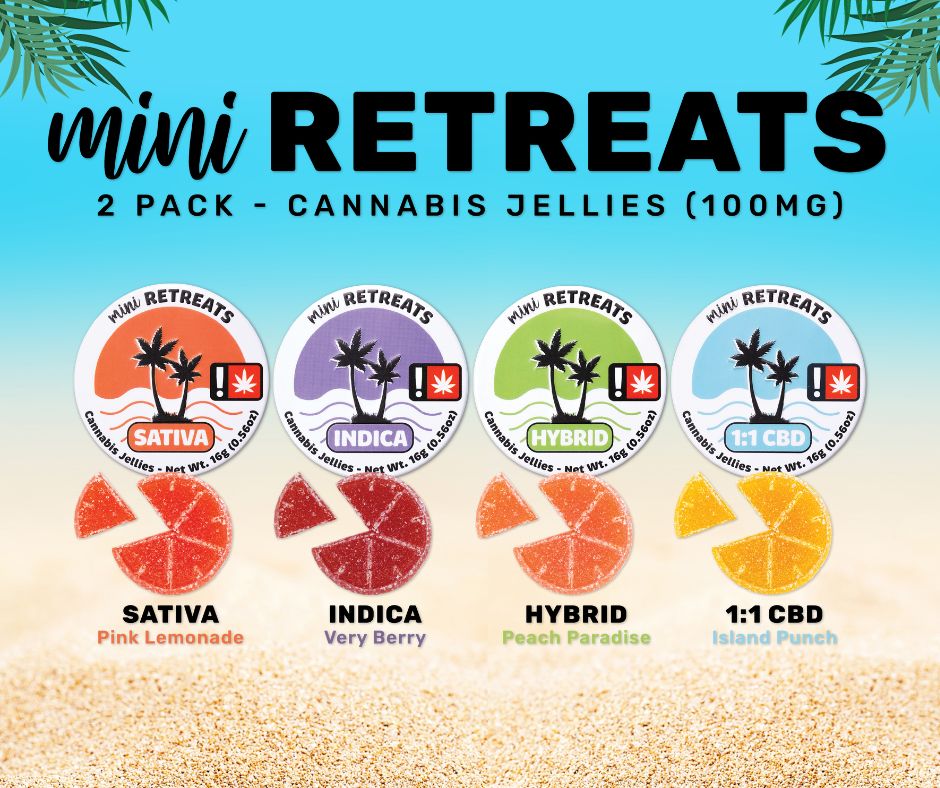 WVA | Mini Retreats Hybrid | 2pk-100mg