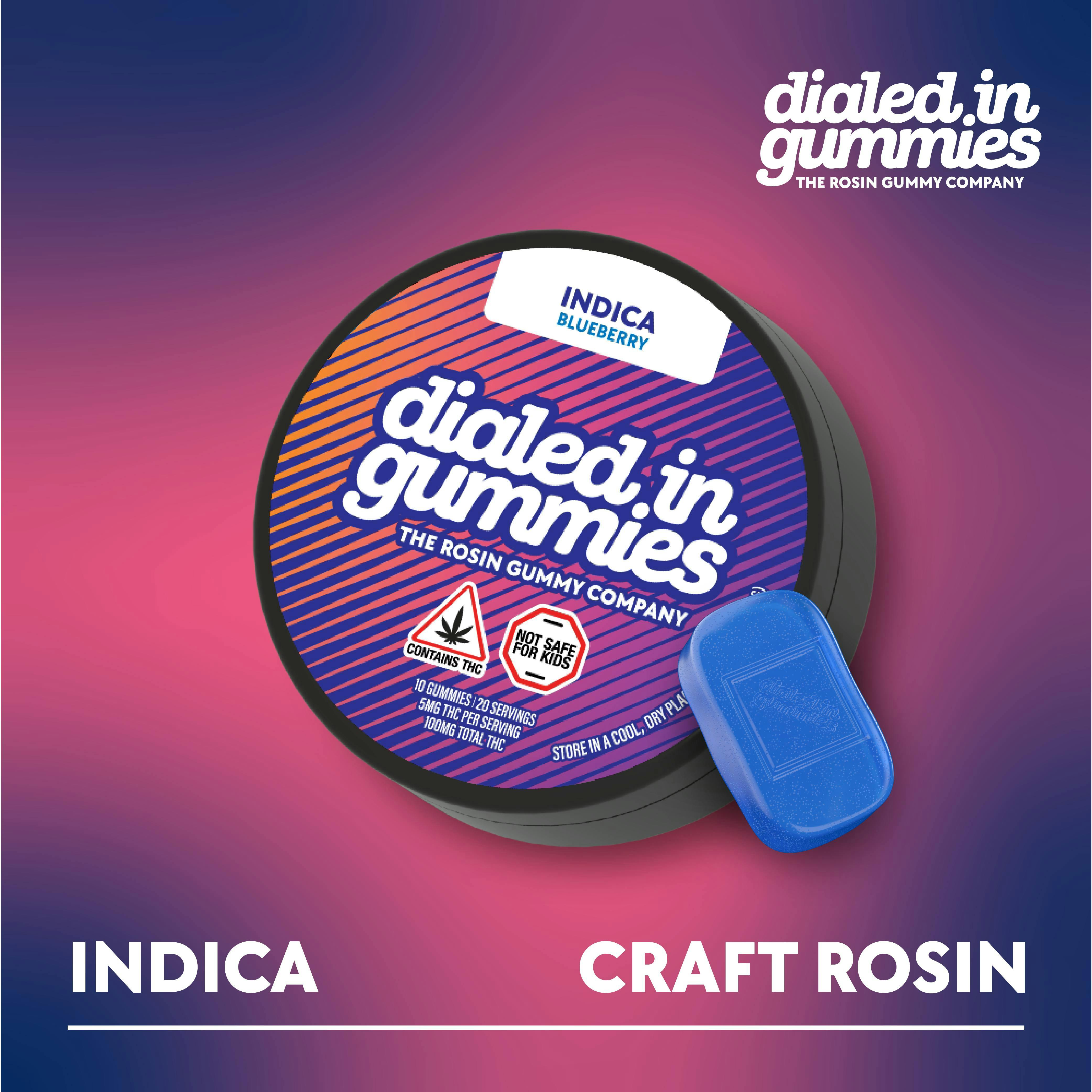 Blueberry | Rosin Gummies | 20 Pack