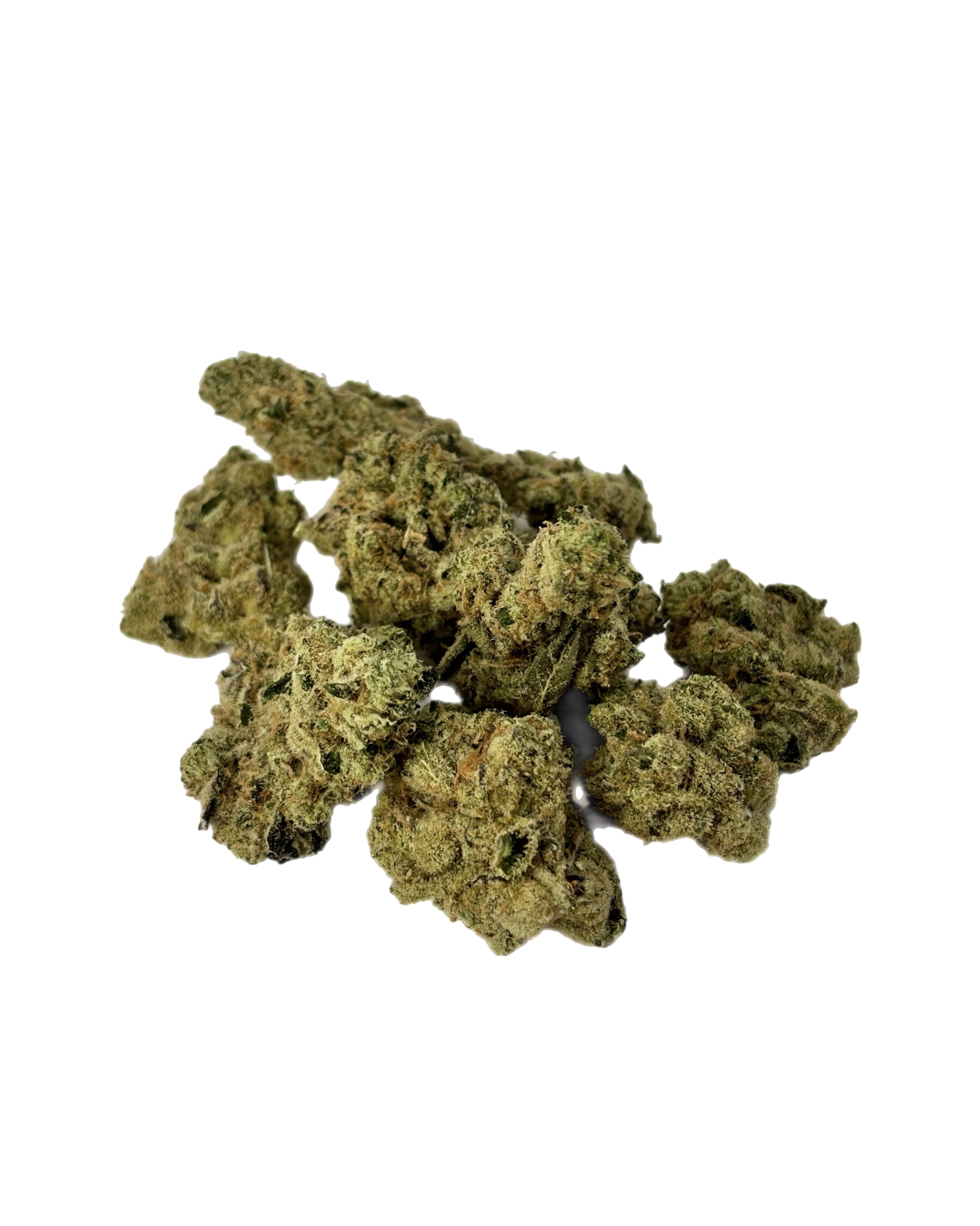 1160 TREAT STREET | PLATINUM LEMON CHERRY GELATO | A | BULK FLOWER