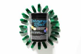 Micro Entourage Capsules | H