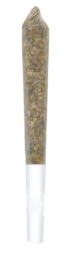 1964 | Blue Dream Pre-Roll | 1 x 1 g
