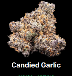 Candied Garlic | Flower | 3.5G