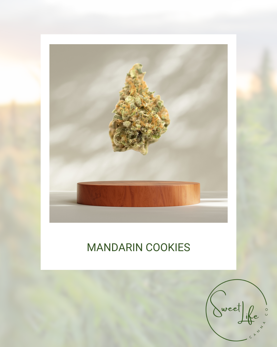 Mandarin Cookies | 3.5
