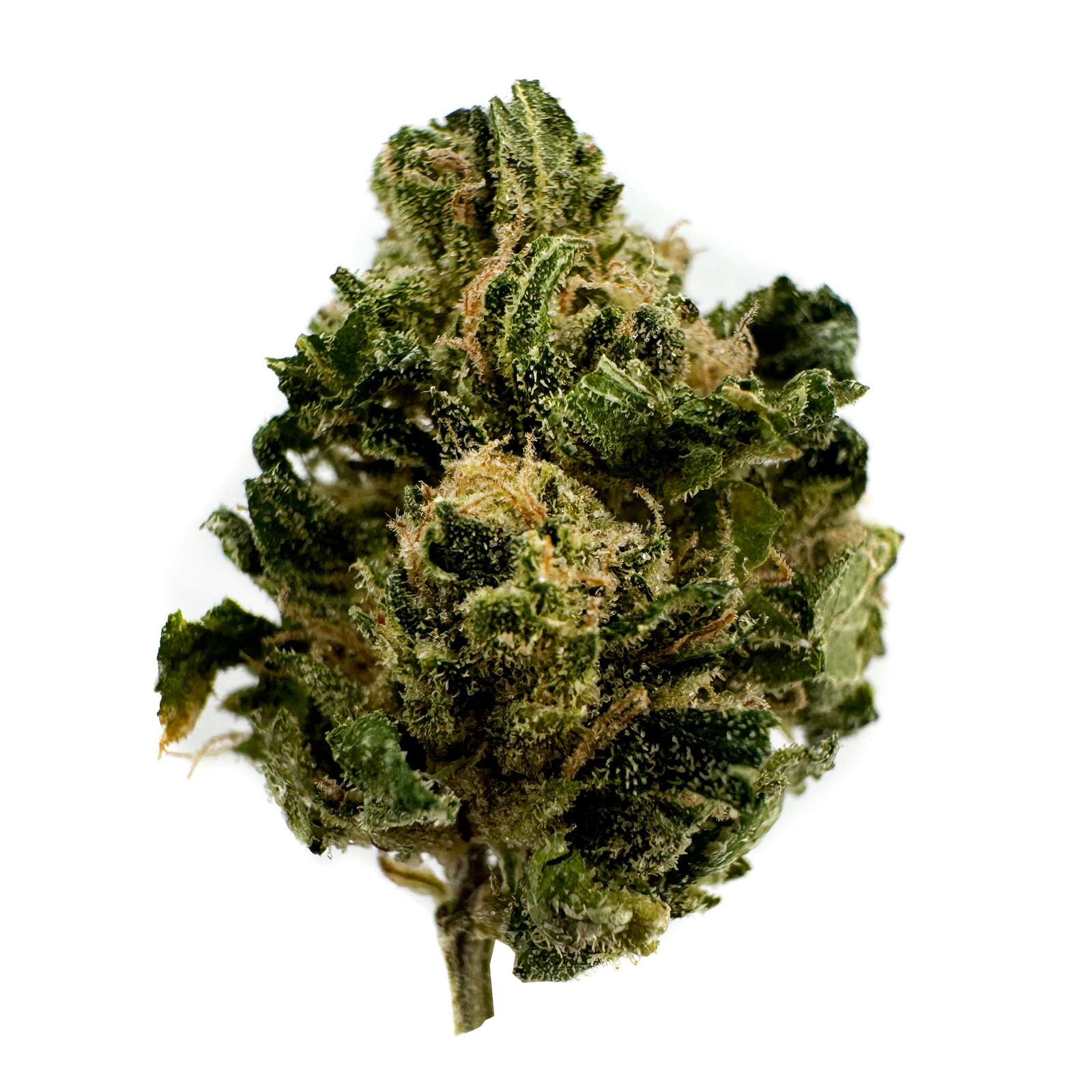 OG Farms | Sun Grown Bulk Flower | Blueberry Runtz