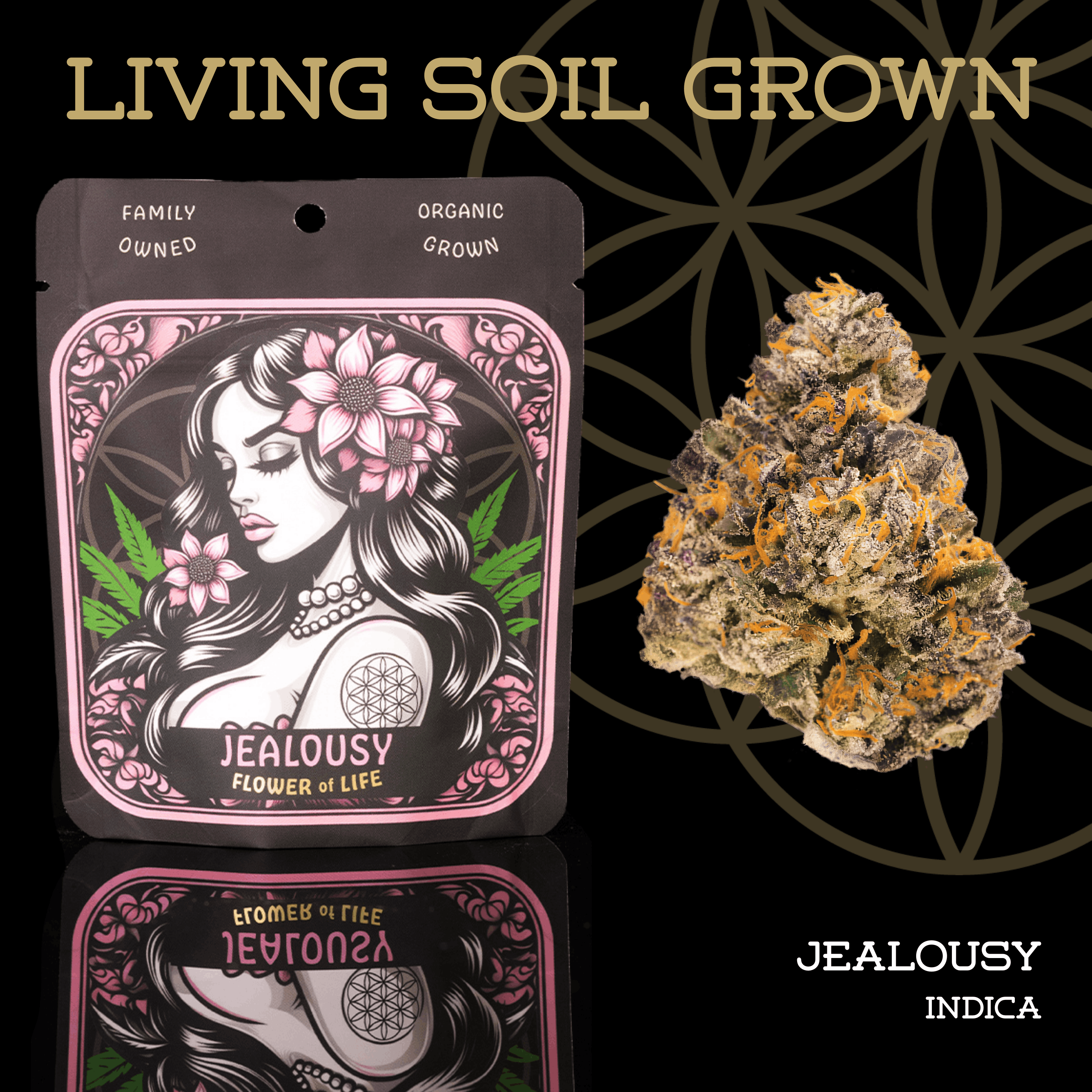 Flower of Life | Living Soil | Jealousy 3.5g
