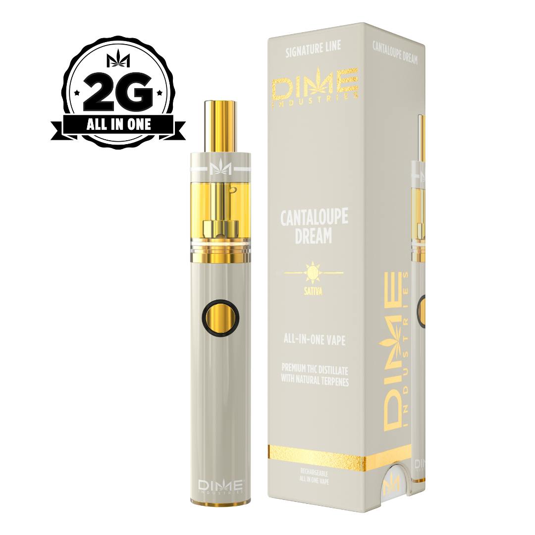 Dime Cantaloupe Dream 2g AIO