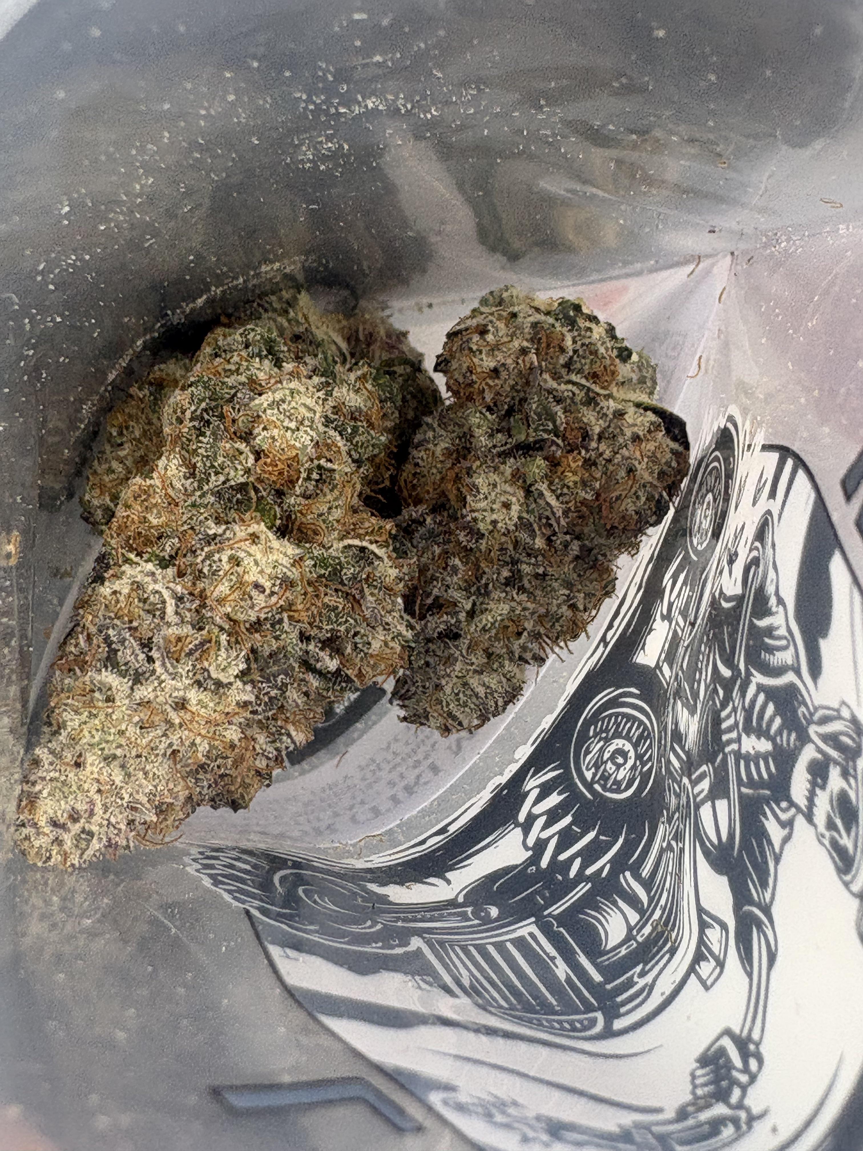 Lead Farmer | Zoapinator | Flower