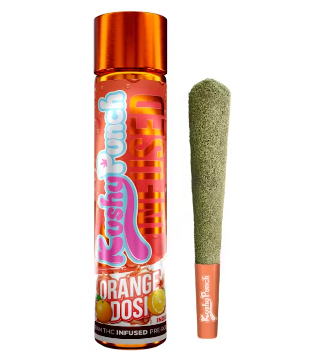 Kushy Punch | 1g Infused Preroll | Orange Dosi