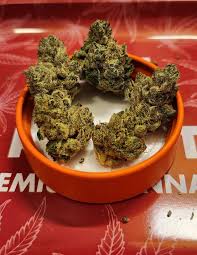 PRE-PACK FLOWER GREASE MONKEY (H) 14G