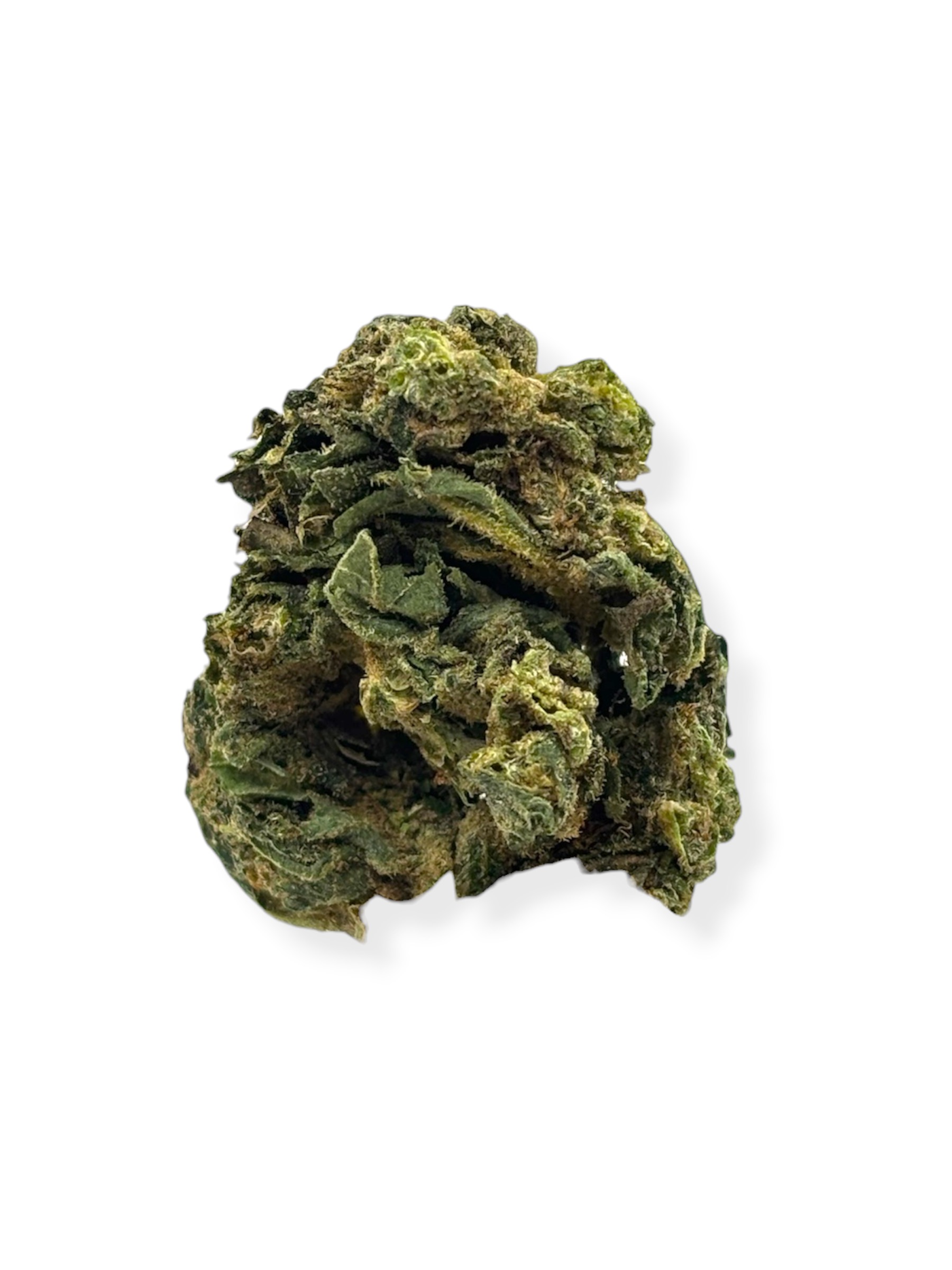 OG Farms - King Sherbert