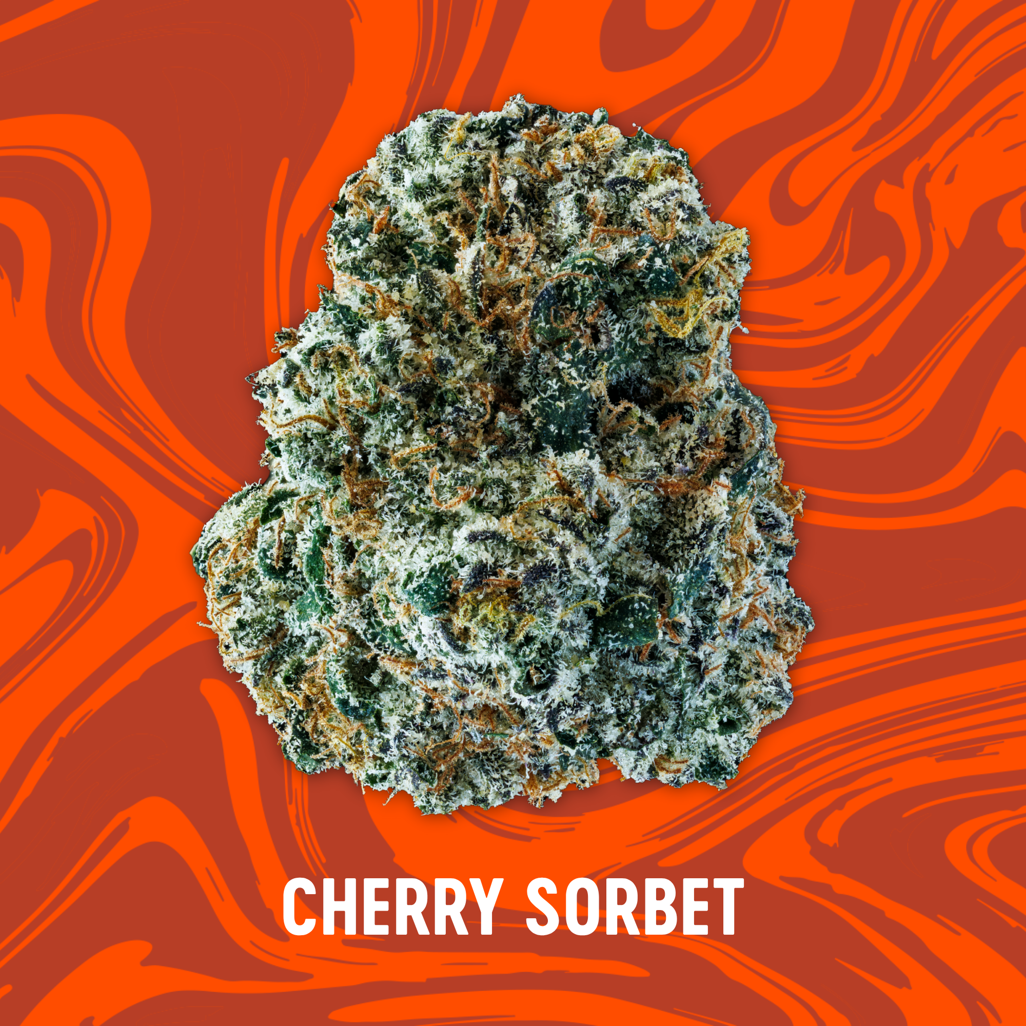 Vivid - Cherry Sorbet - Deli Popcorn