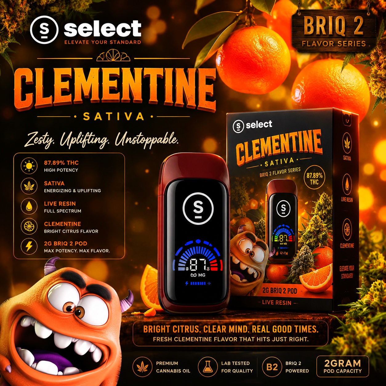Clementine Briq