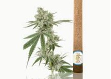 LEFT COAST | MAUI WAUI | INFUSED BLUNT