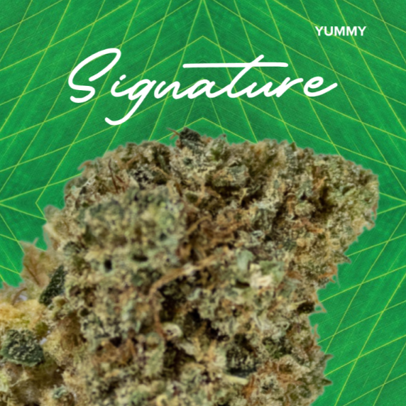 Signature | Yum (High-CBD) | 3.5g