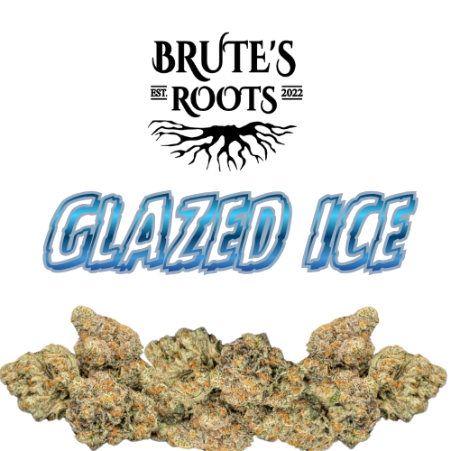 Small Buds - Glazed Ice  |  MED