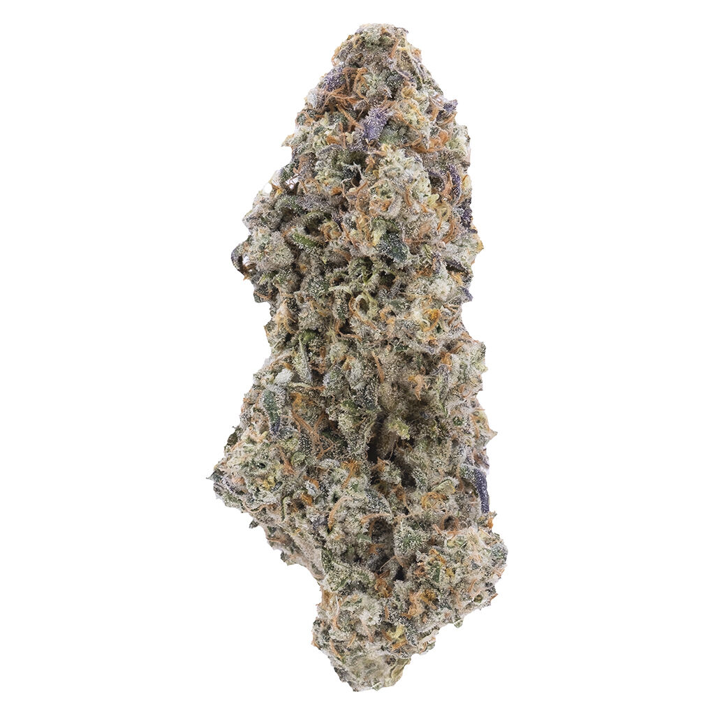 Northern Canna - True Mints (True OG x Kushmints (Stank Cut)) - Indica