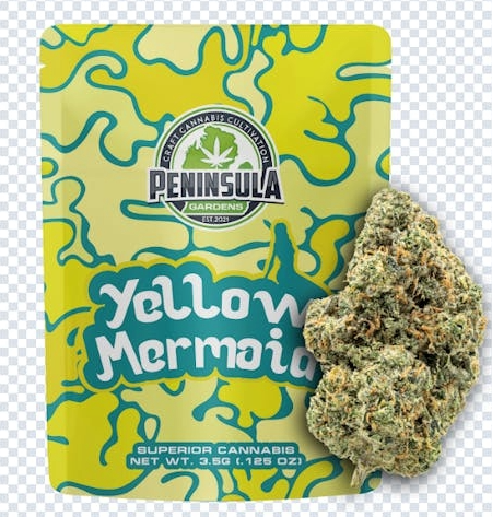 Peninsula Gardens Yellow Mermaid Pre-Packed 1/8th