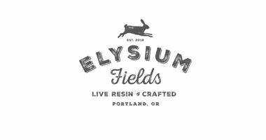 TAKILMA FRUIT Cartridge | 1g