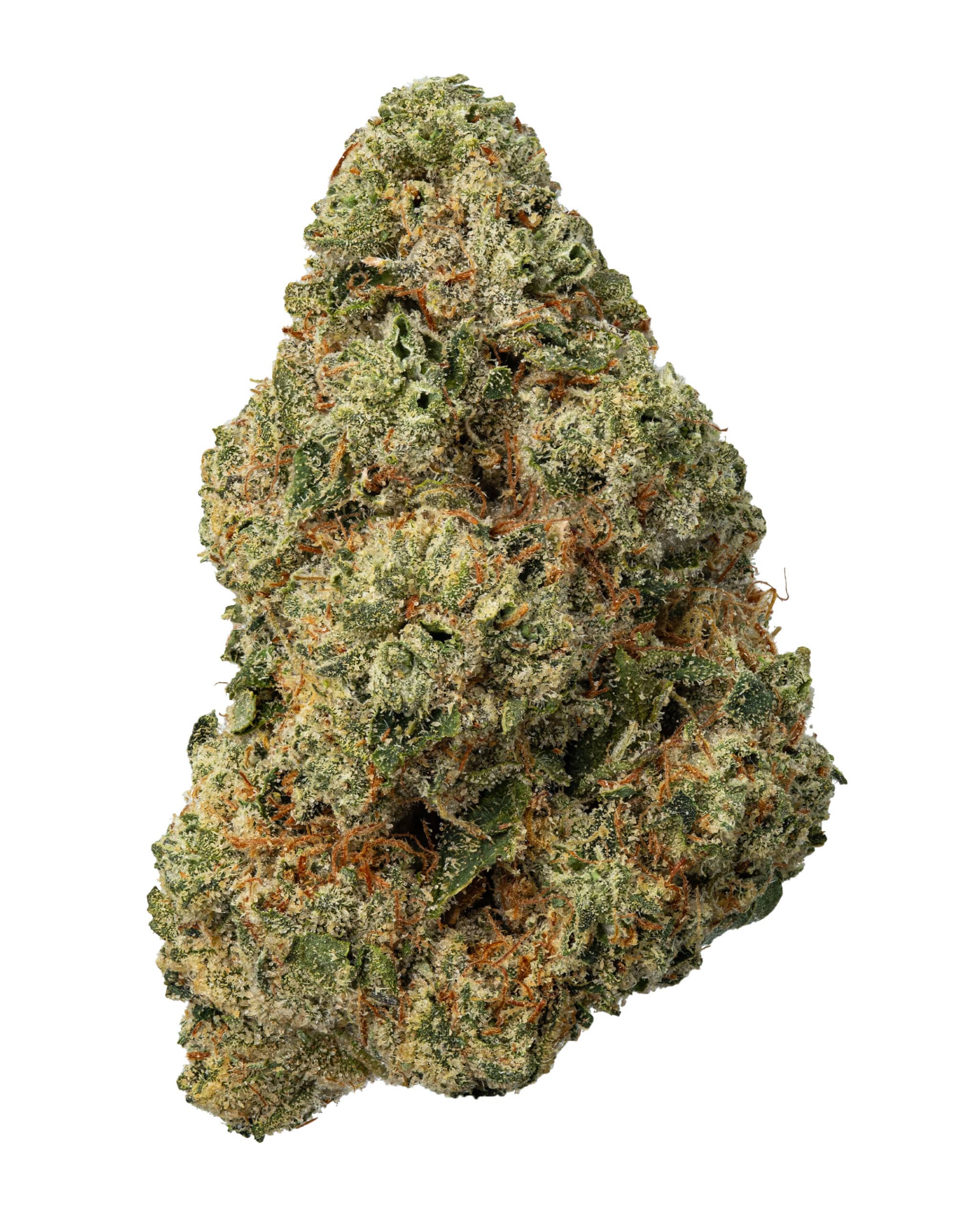 Loompas Headband | 3.5g
