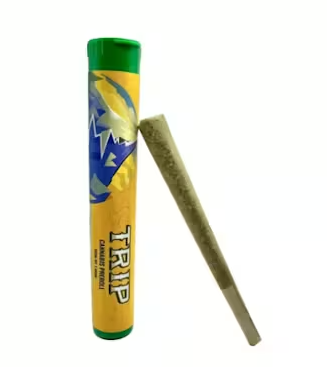 Preroll (Slurricane XI)