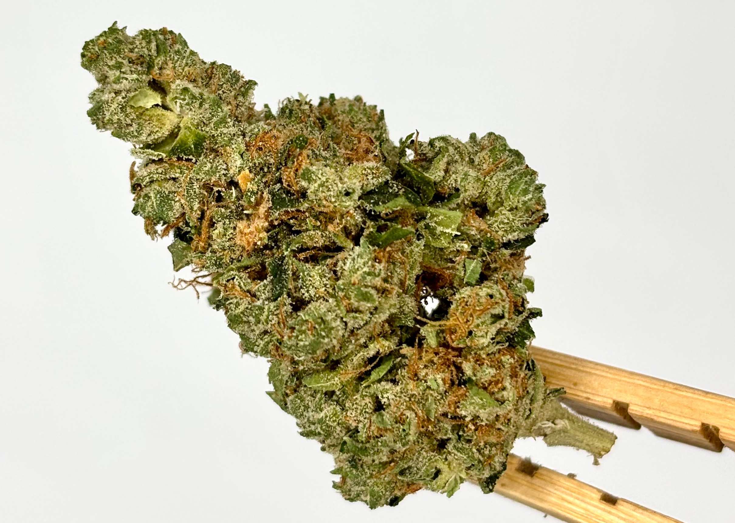 Scott's OG | Bulk Flower | Yellow Tier