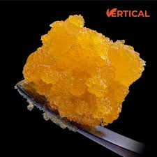 VERTICAL LIVE SUGAR SCARLET GELATO (H) 2G