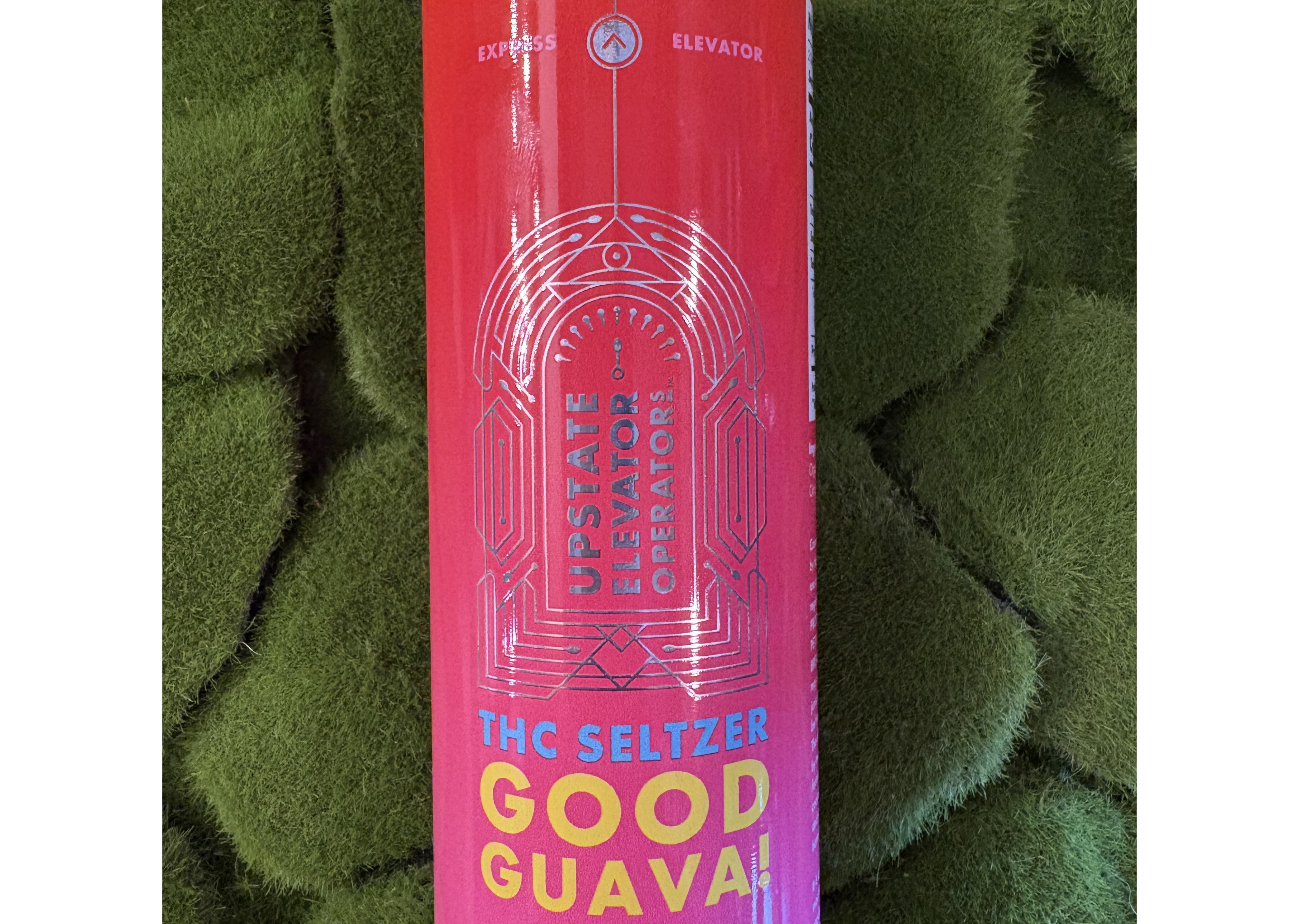 10mg Can | Good Guava! THC Seltzer | Upstate Elevator Operators