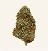 (60649) (the) ESSENCE 3.5g Permanently Divine Buds