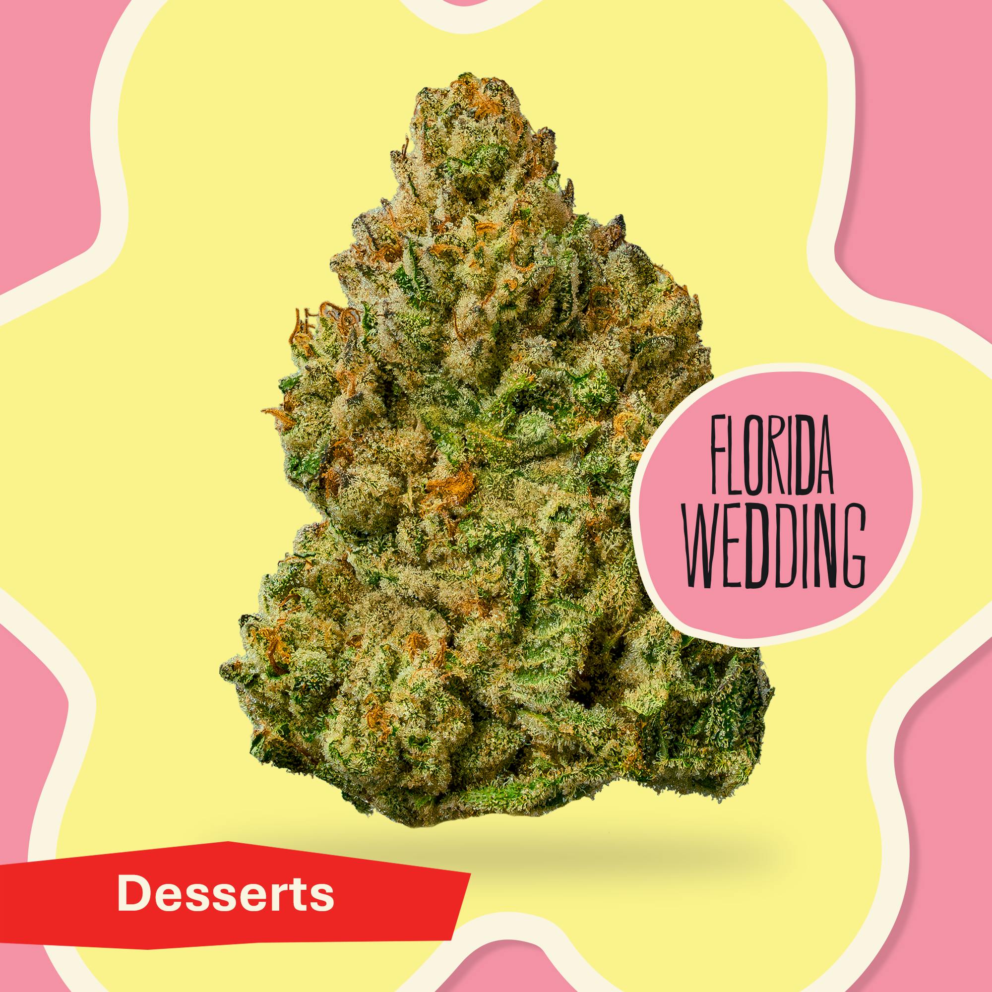 Florida Wedding - - District Cannabis House Packed