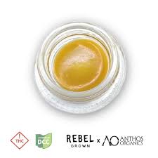Rebel x Anthos | Rebel Cookies Live Resin Badder 1g | Hybrid