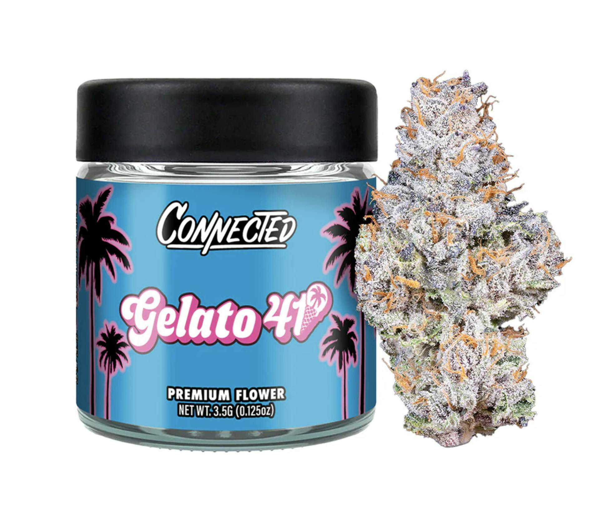 Gelato 41 Connected