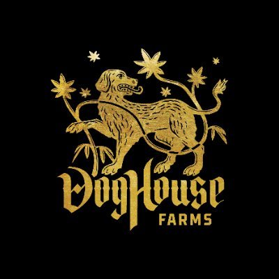 DogHouse Farms: Papa Burger