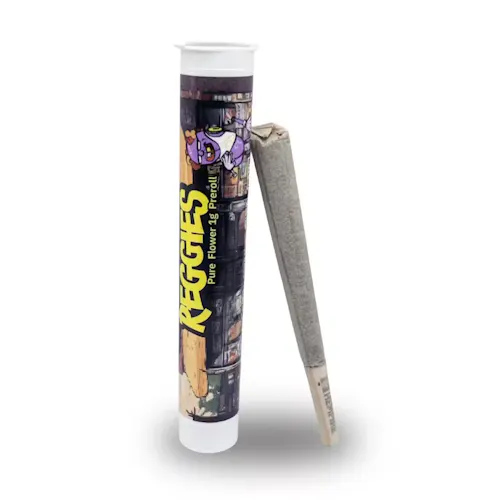 Reggie's Preroll - Forbidden Gelato