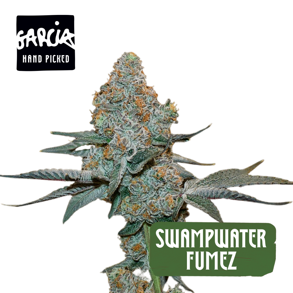 Swampwater Fumez Smalls | 7g
