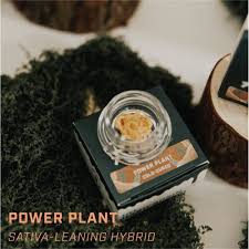 Powerplant (SD) Live Rosin 1g