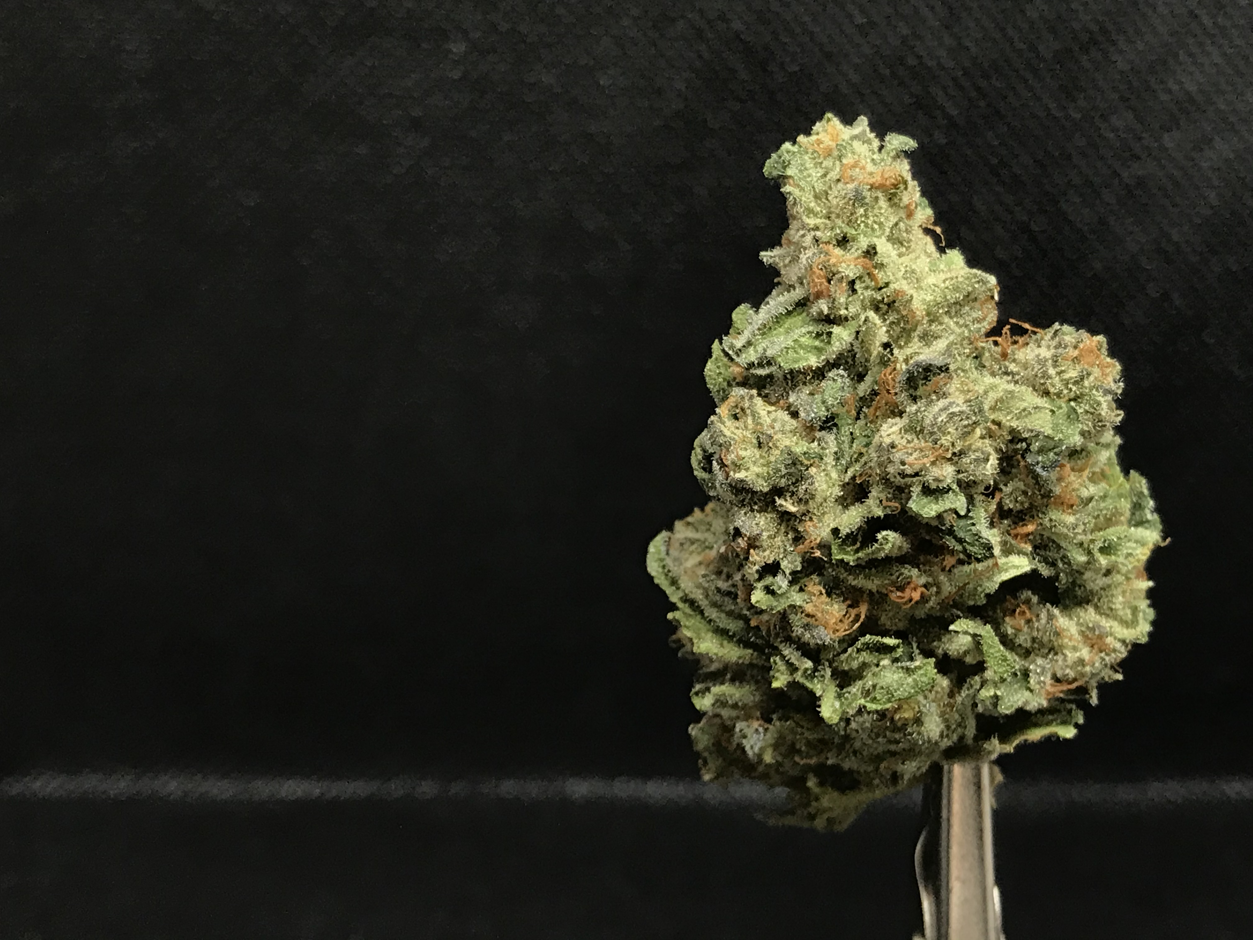 Durban Poison Bud