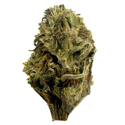 Sun Grown Grease Monkey
