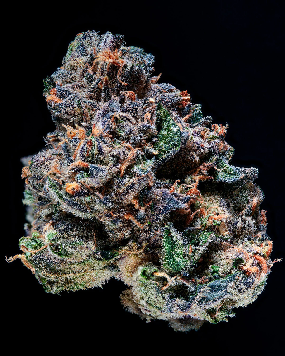 BLVCK MRKT Prepack BLVCK Runtz