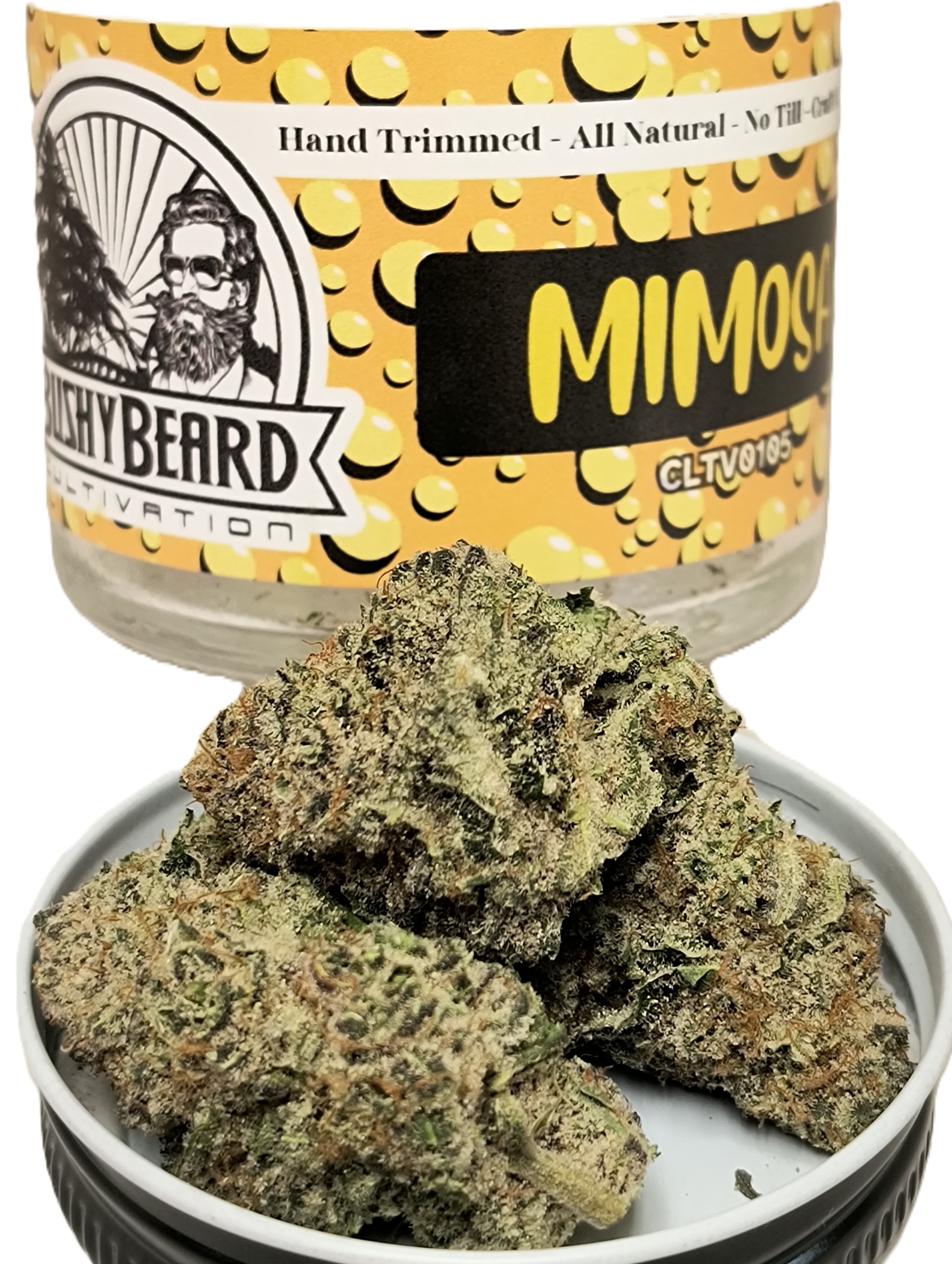 Mimosa Jar
