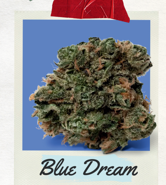 Blue Dream 7g
