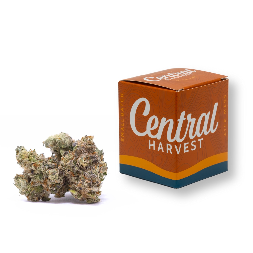 French Macaron | 3.5g