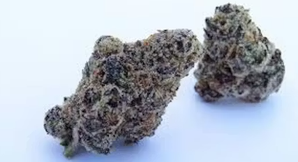 Redbud Roots - Glitter Bomb - Buds
