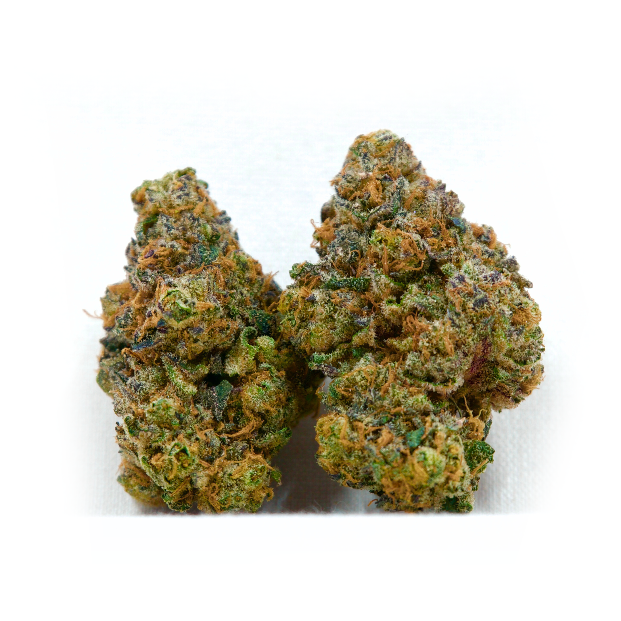 Zoap | TAC: 19.6% (14g Package)