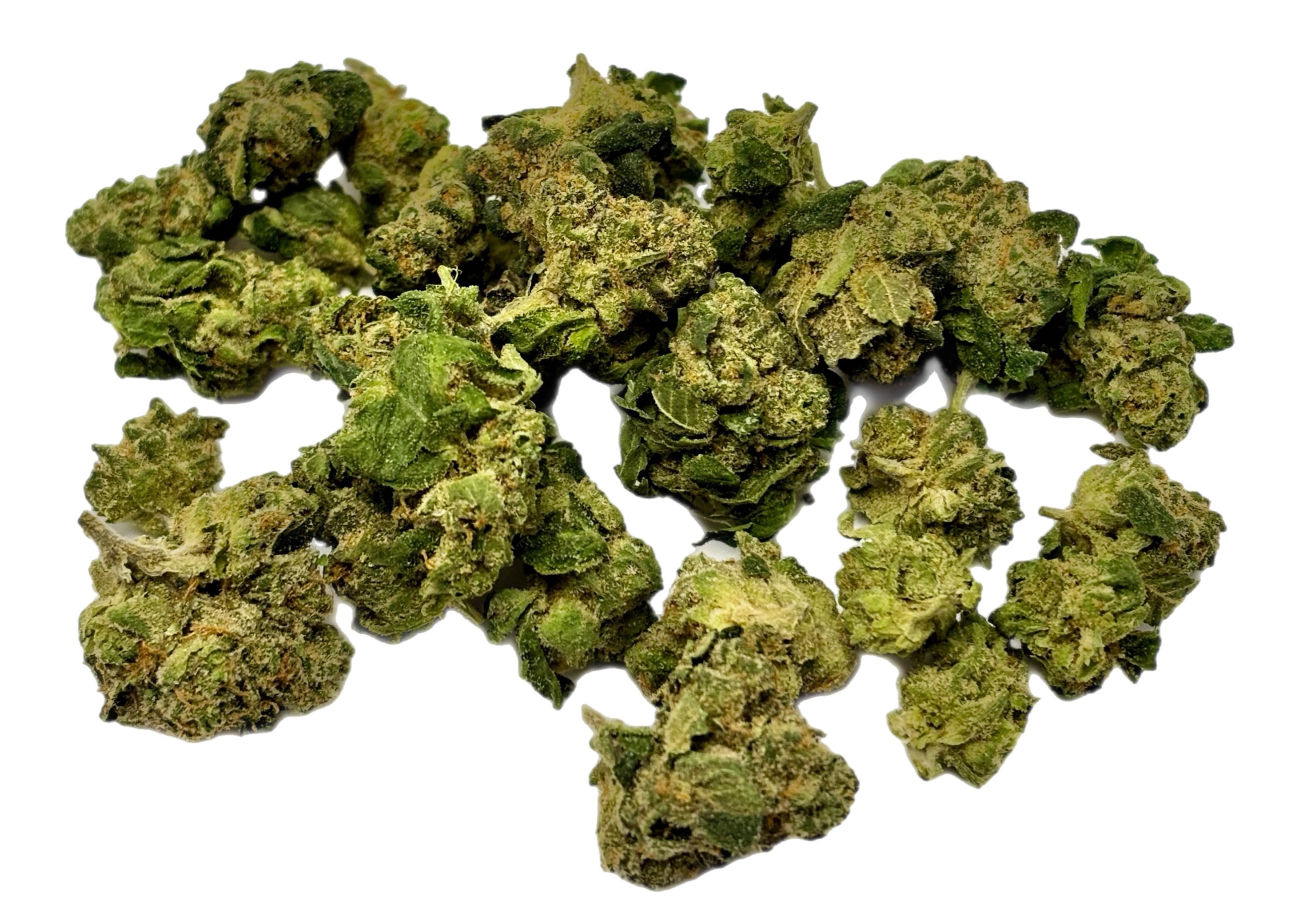 PERMANENT RUNTZ | C | BULK FLOWER