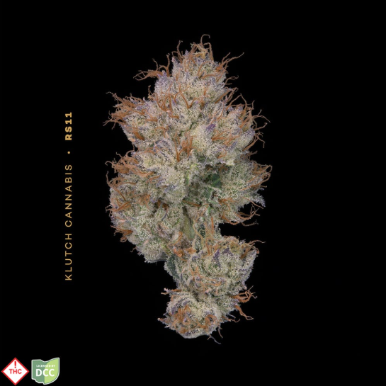 Rs11 H Flower