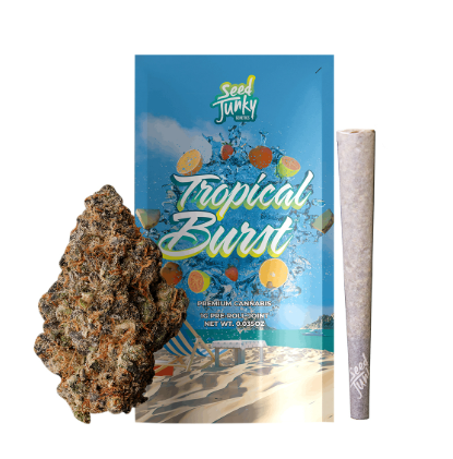 Seed Junky - Tropical Burst - Preroll